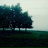 Ymori