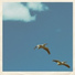 Sim Nagai