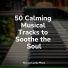 Study Power, Piano Masters, Bedtime Baby