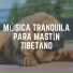 Dog Music