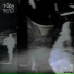 Novus