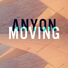 Anyon