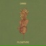 Flowtype