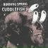 Burning Spring
