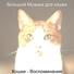 большой Музыка для кошек