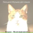 большой Музыка для кошек