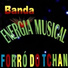Banda Energia Musical