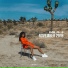 Mila J