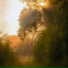 sunfade, LXNYA