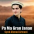Syed Ahmad Armani