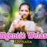 Denata