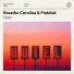 Breathe Carolina & Flatdisk