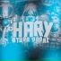 DJ HARY ATURA PAPAI, Dj magro