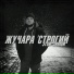 Жучара Строгий