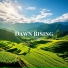 Koico Relaxation Music