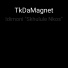 TkDaMagnet