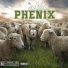Phenix BBJ