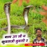 Suresh Saini