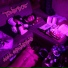Toneboe