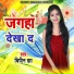 Bipin Jha