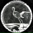 The Black Flamingo