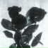 LOVECRYBABY