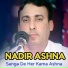 Nader Ashna