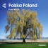 Piotr Moss