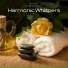 Spa Music Relaxation Therapy