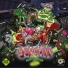 Genetikk