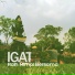 Igat