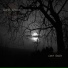Dark Ghost