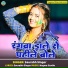 Saurabh Singer