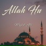 Wajid Ali
