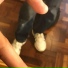 LLKZIN