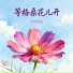 沐倾城