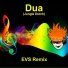 EVS REMIX
