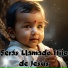 Sacro Musical, Resiliencia, Grupo Luz de Vida