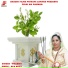 Prabha
