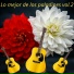 Los Paladines