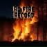 RD Fire Record