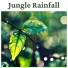 Relaxing Sounds of Rain Music Club