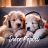 Música para Cachorros