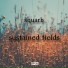 Squarb