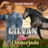 Gilvan Da Vaquejada