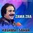 Hashmat Sahar