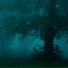 nleave