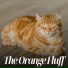 Cat Songs