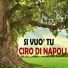 Ciro Di Napoli