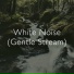 The White Noise Collective